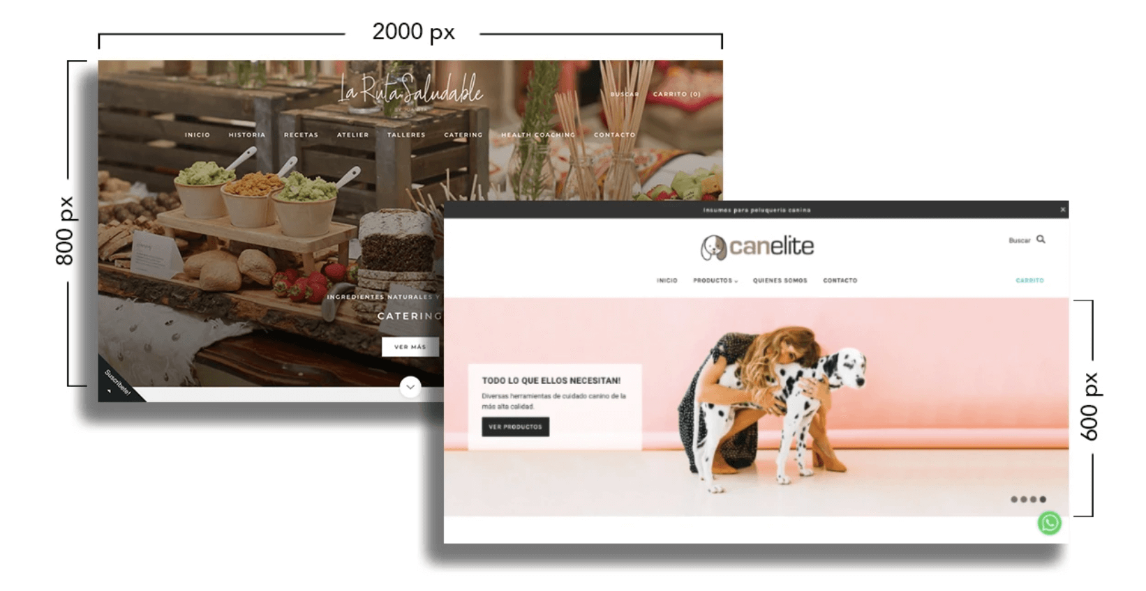 Imagenes de banners para la web 2022